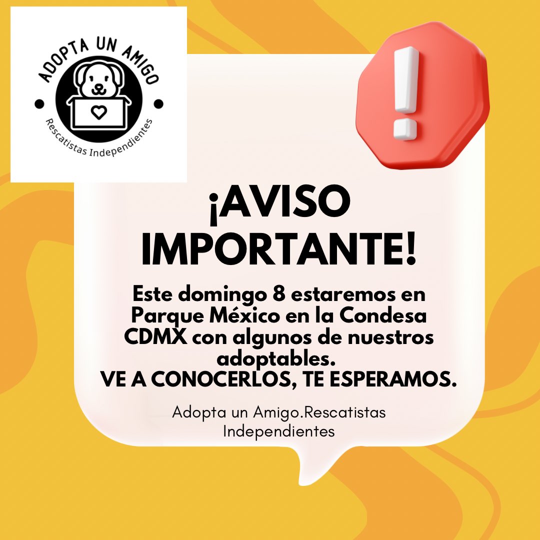 Los esperamos este domingo 8 en Parque México en la Condesa! Ve y conoce a nuestros perritos y gatitos adoptables 🐾🐕‍🦺🐈‍⬛. <a href="/MascotaCoyoacan/">Mascotas Coyoacán 🐾</a> <a href="/MascotasSismo/">Mascotas Sismo</a> <a href="/mascotasdifunde/">Difusión de mascotas</a>  <a href="/RescateAnimal/">Rescate Animal</a>  <a href="/Animales_CDMX/">AnimalesCDMX</a>  <a href="/AdoptaCDMX/">AdoptaCDMX</a>