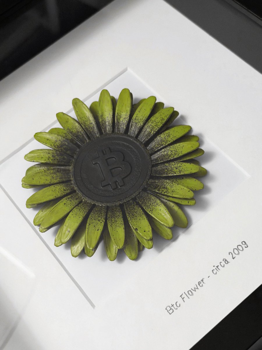 <a href="/btcflower/">Flower Power</a>