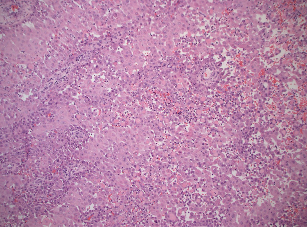 Dan Graham tweet media