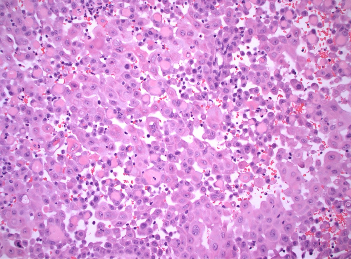 Dan Graham tweet media