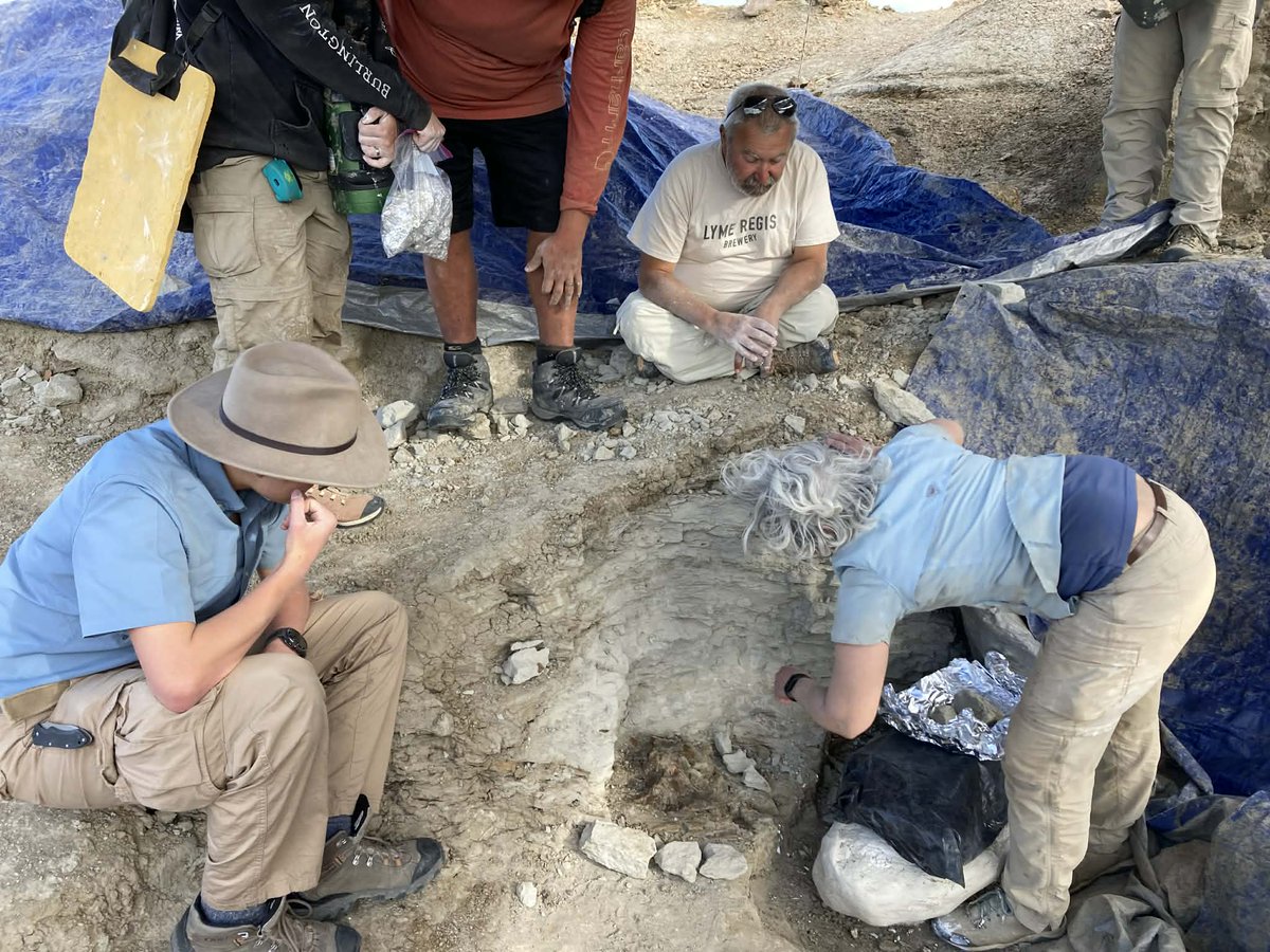 Denver Fowler Ph.D tweet media