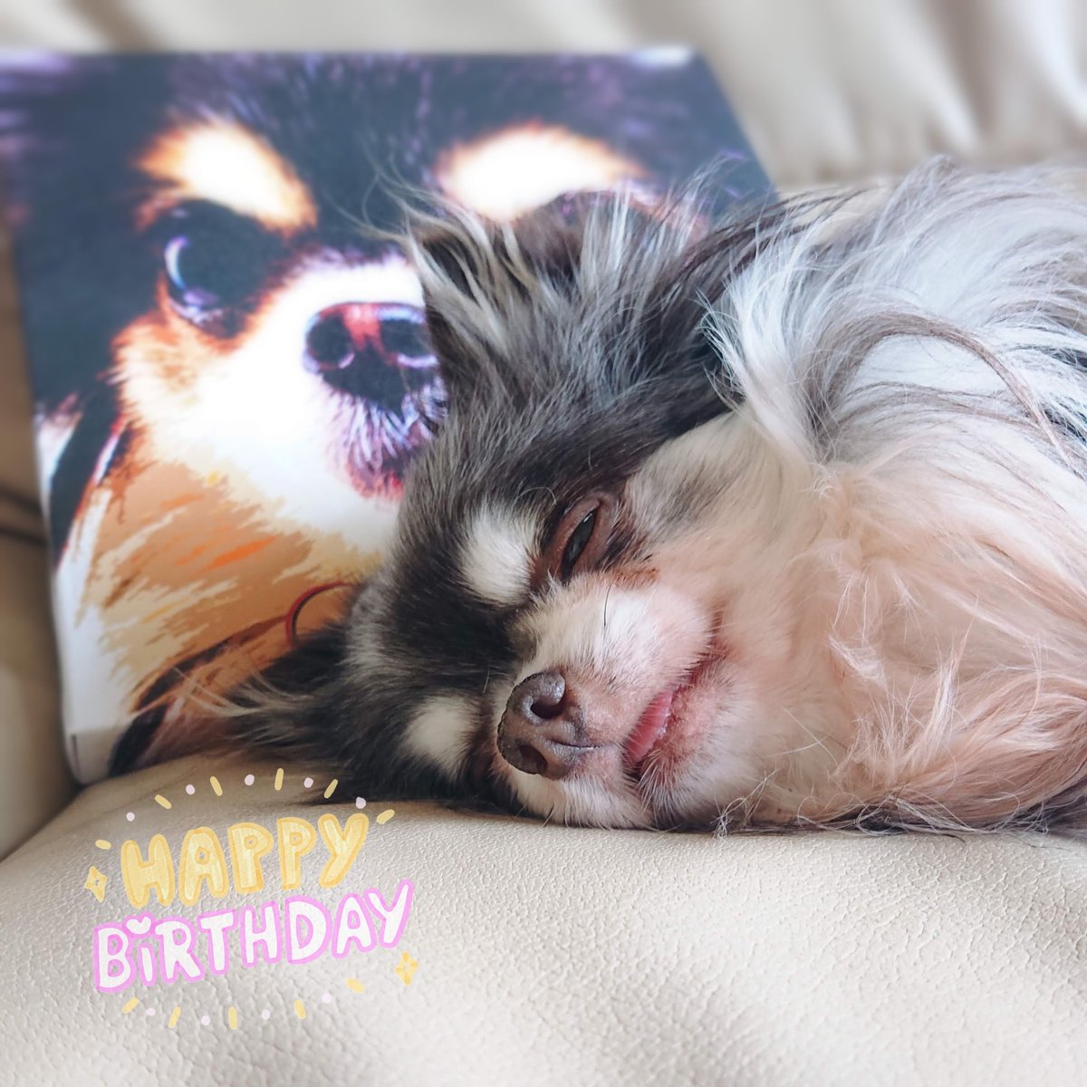 おはようございます(๑́⌯ꇴ⌯)ﾉ⛅️
今日2/5は今は亡き長女犬まりも🐕の誕生日🎂生きていれば18歳…選挙権取得w
昨年は母の葬儀ですっかり忘れてしまっててゴメンね💦ずっとずっと大好きだからね､まりも🐕🥹💕

リクエスト🙏
#RyuMatsuyama / Reflections

#カツモニ
