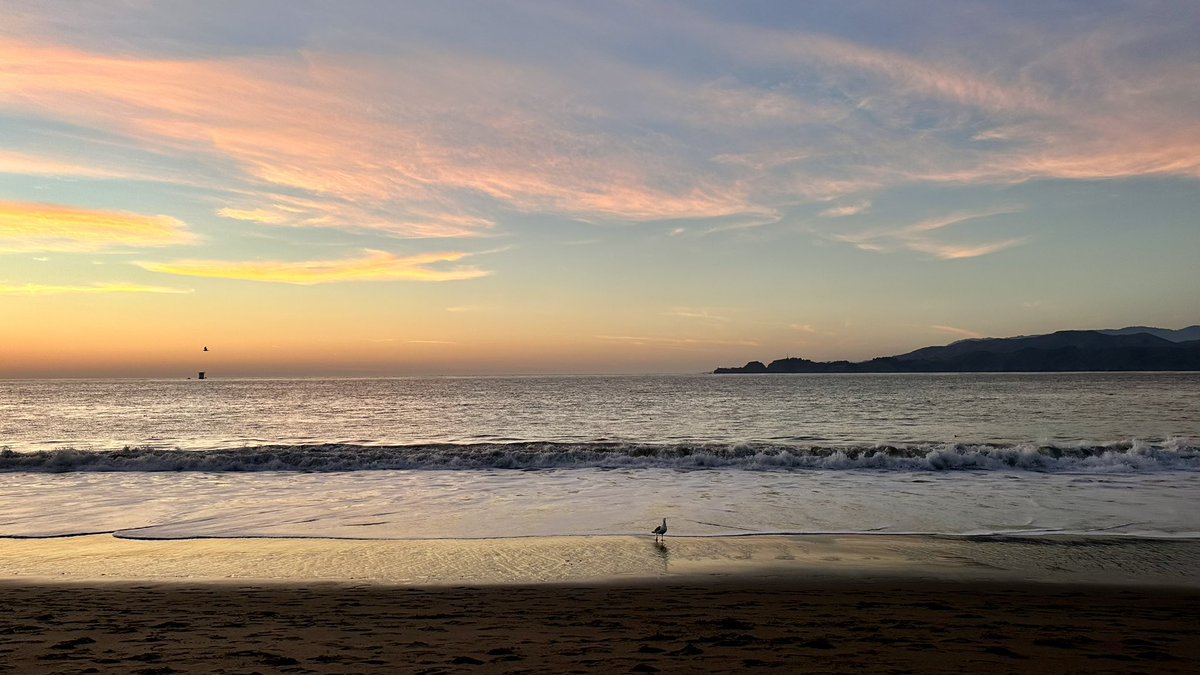 rravenstarr's tweet photo. sunset in the bay https://t.co/76dFQ4VhLh