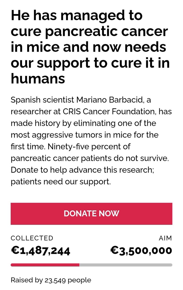 🥭🌈 MANGO | In My Giving Up Era | 🍉 tweet media