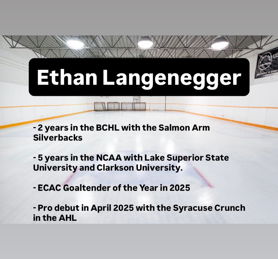 World Pro Goaltending tweet media