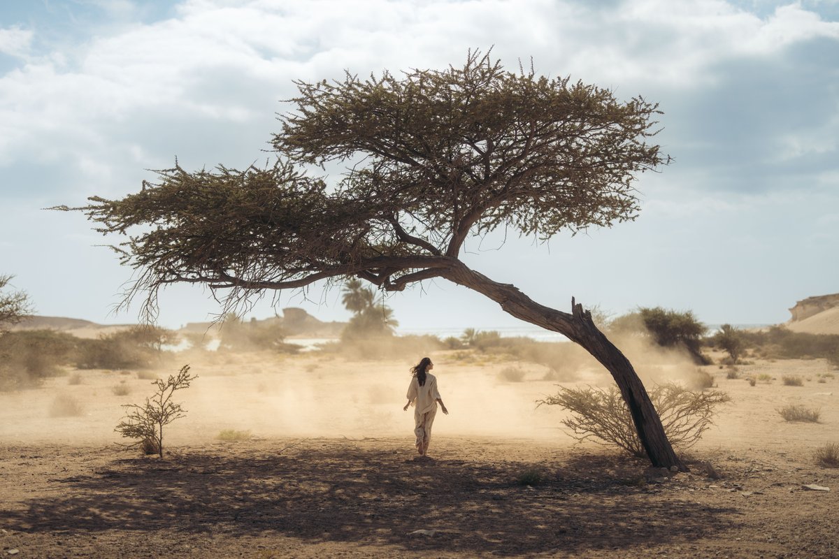 AMAALA | أمالا tweet media