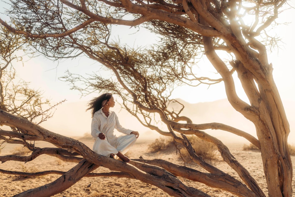 AMAALA | أمالا tweet media