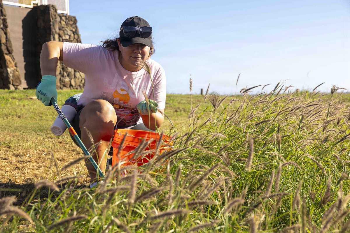 Navy Region Hawaii tweet media