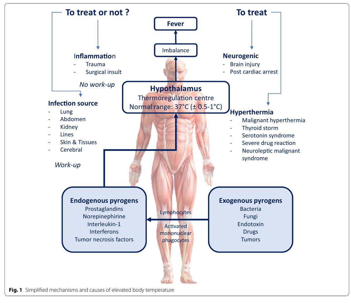 ICM 2023: 10 Tips para el enfrentamiento del sindrome febril en paciente crítico
doi.org/10.1007/s00134…
#MedEd #MEdTwitter #MedX