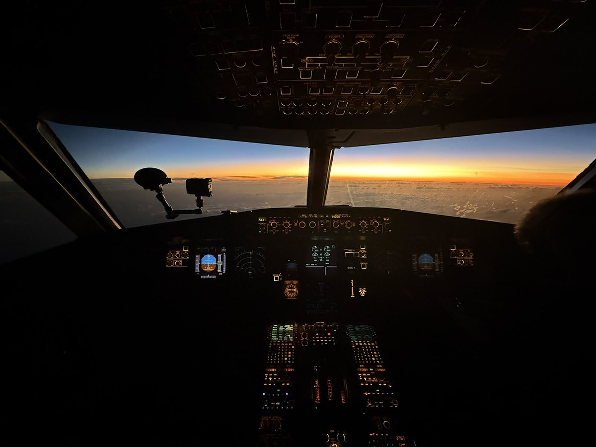 Steve Giordano tweet media