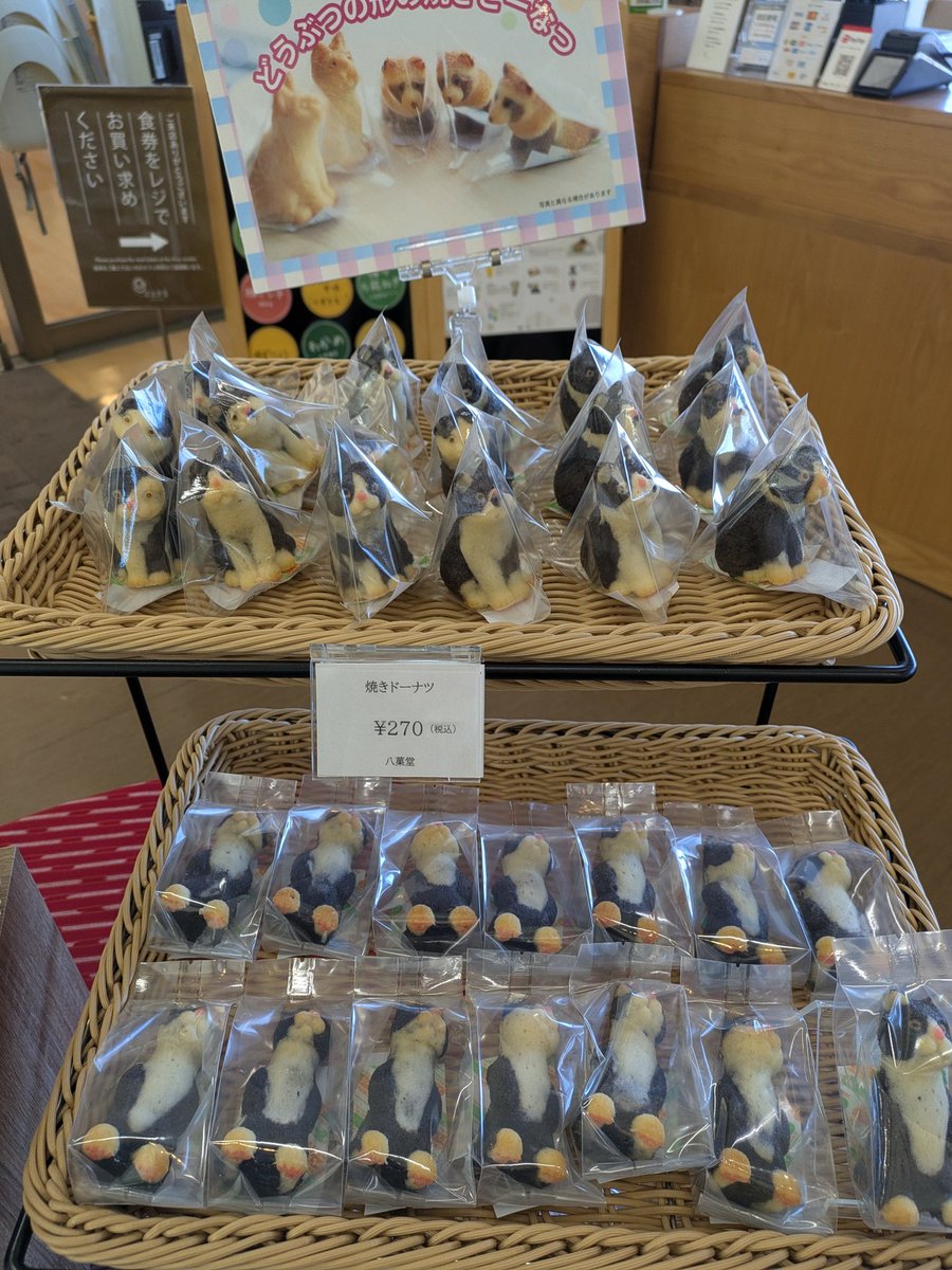 まるちゃん (@maru_448_g) / Posts / X