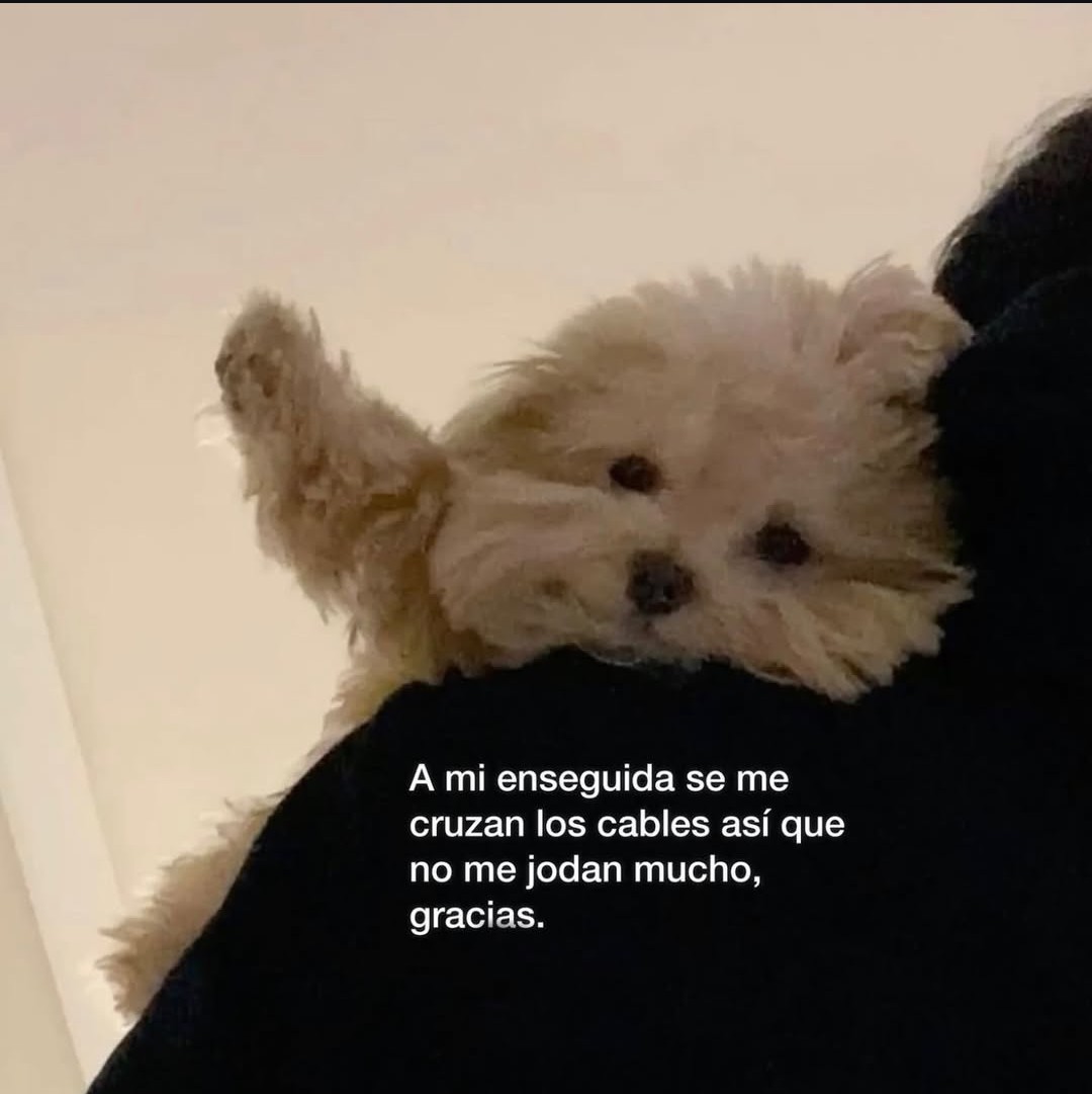 soylaalterna2's tweet photo. Precaución 😌 https://t.co/fihS8sJvVk