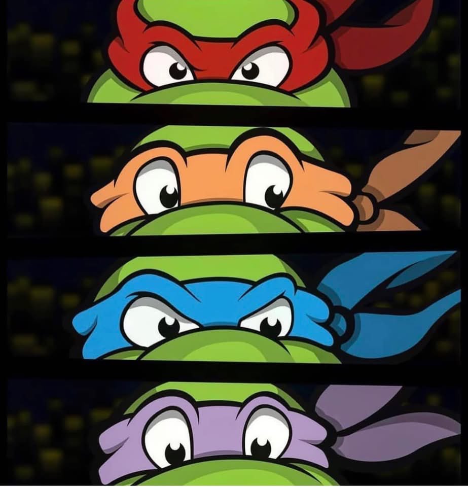 NinjaTurtleLair's tweet photo. 🐢👀🐢 https://t.co/pM0dFioxDt