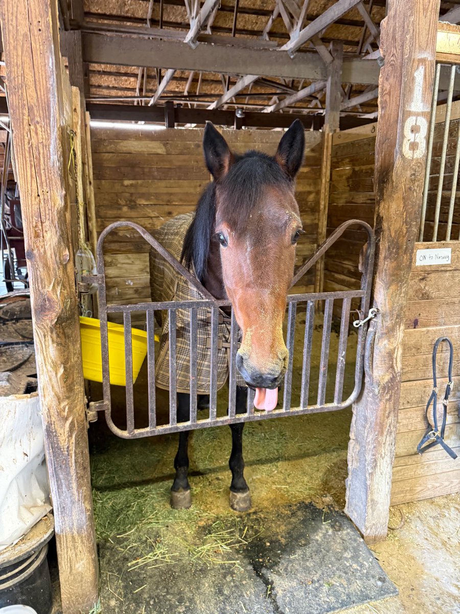 Gabe Prewitt tweet media