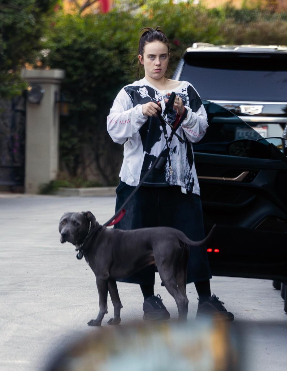 WomenBeingAwful's tweet image. Billie Eilish is so mid

She looks like a foot without makeup.