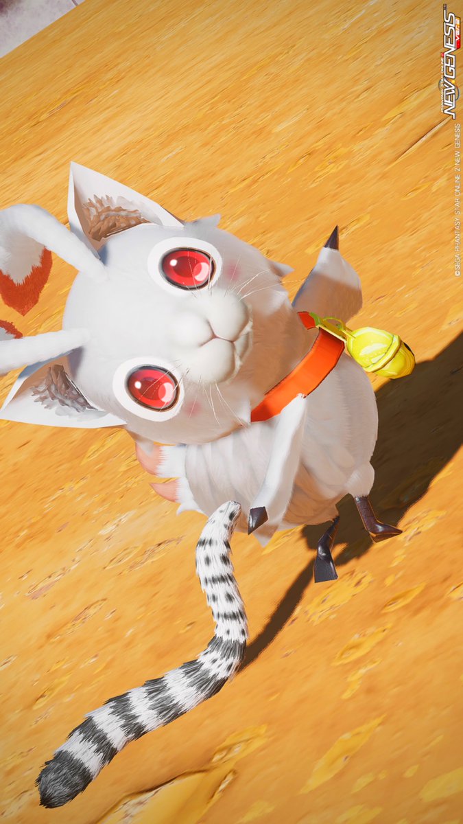 ニャッピーの日常 さぁ、行くにゃ仕事に