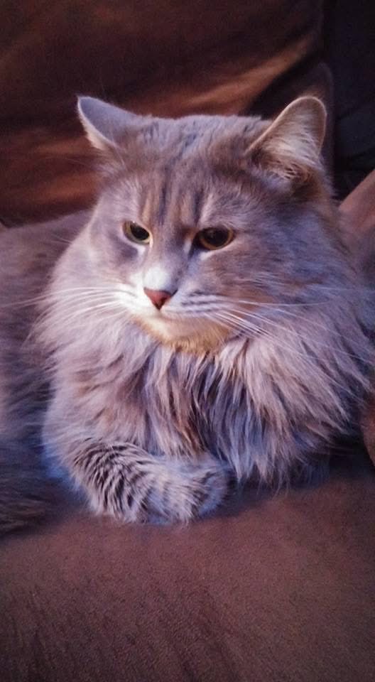 Her şeyden biraz kalır.                         Kavanozda  biraz kahve,                            Kutuda biraz ekmek,                                  İnsanda biraz acı…                                    Turgut Uyar                        04/02/2026 Çarşamba - Çankaya/ Ankara