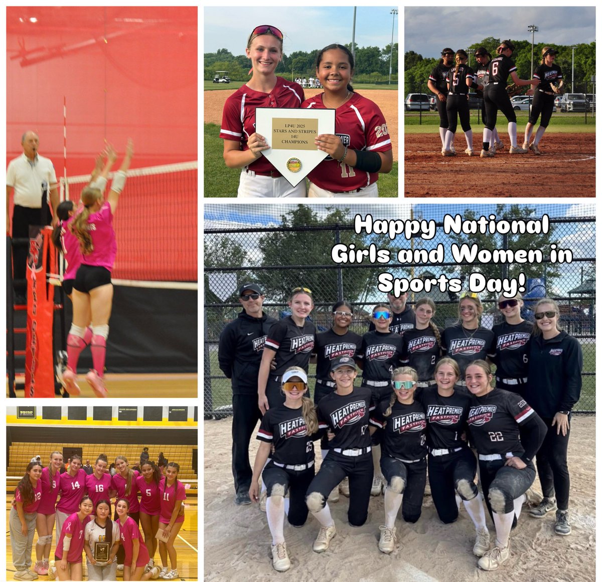 Raegan McDaniel tweet media