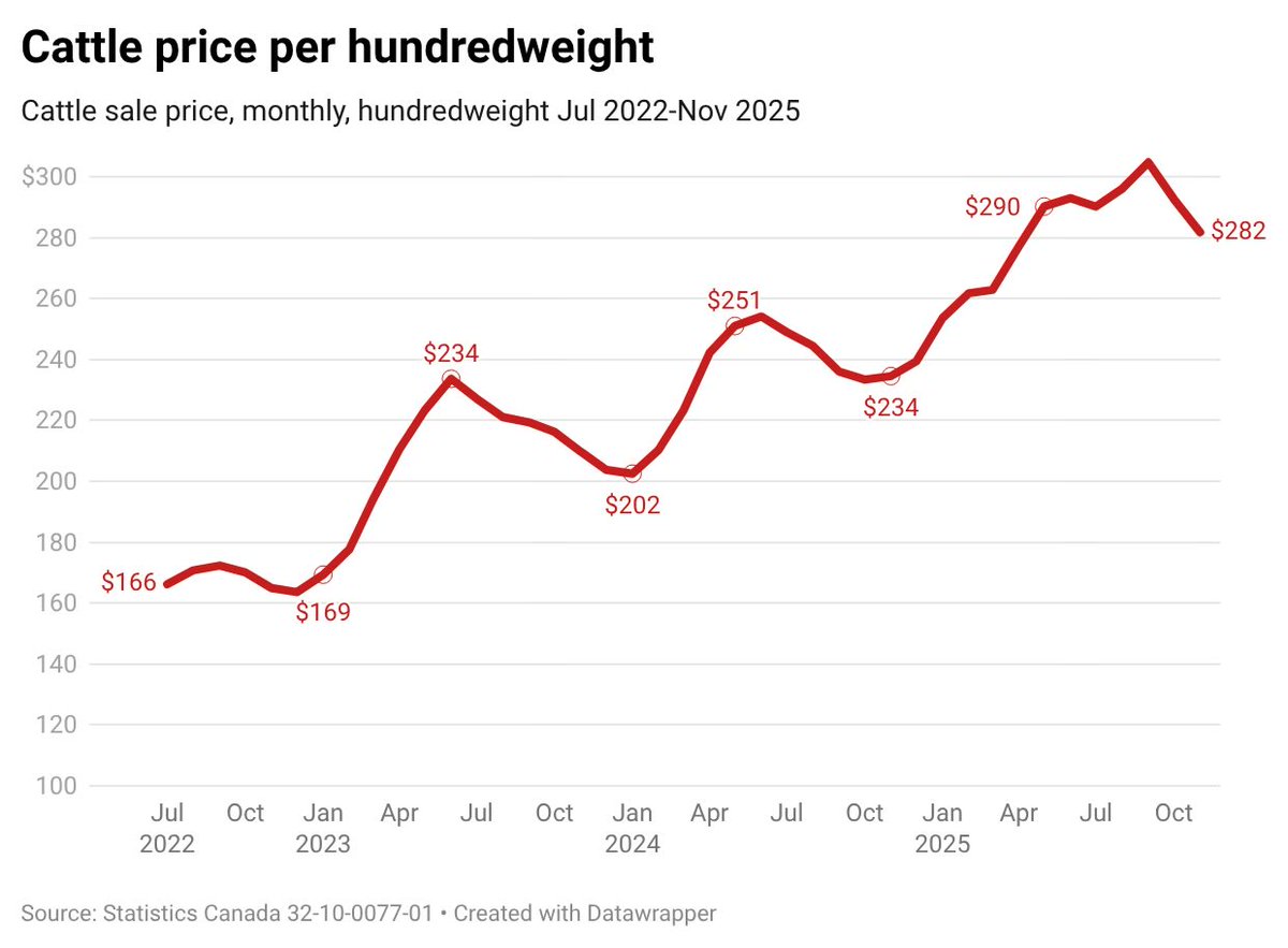 DataShowsMedia's tweet photo. What’s driving beef price inflation?

On Jan 12 StatsCan reported November cattle price at $282, up 24.7% from Nov 2024

At retail end 
- stewing beef +22%
- sirloin +32%
- ground beef +11%

What percent of beef retail price is the cattle price?

Follow Data Shows on Substack https://t.co/yi4jrsHwGL