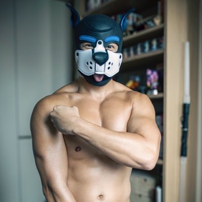 Monkeygogo tweet media