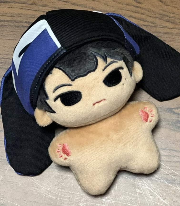 wtb lfs enhypen ph jay 10cm doll outside hat