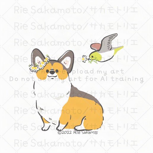 #笑顔の日 のコーギーと野鳥たち 