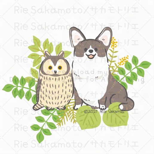 #笑顔の日 のコーギーと野鳥たち 