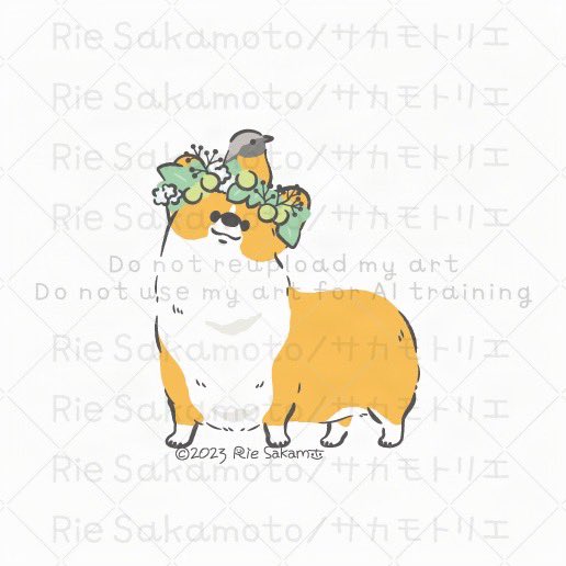 #笑顔の日 のコーギーと野鳥たち 