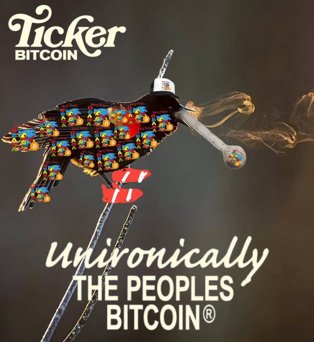 James Slammeron aka MORE LIGHT | $BITCOIN ‡ 🟦🟨🟥 tweet media