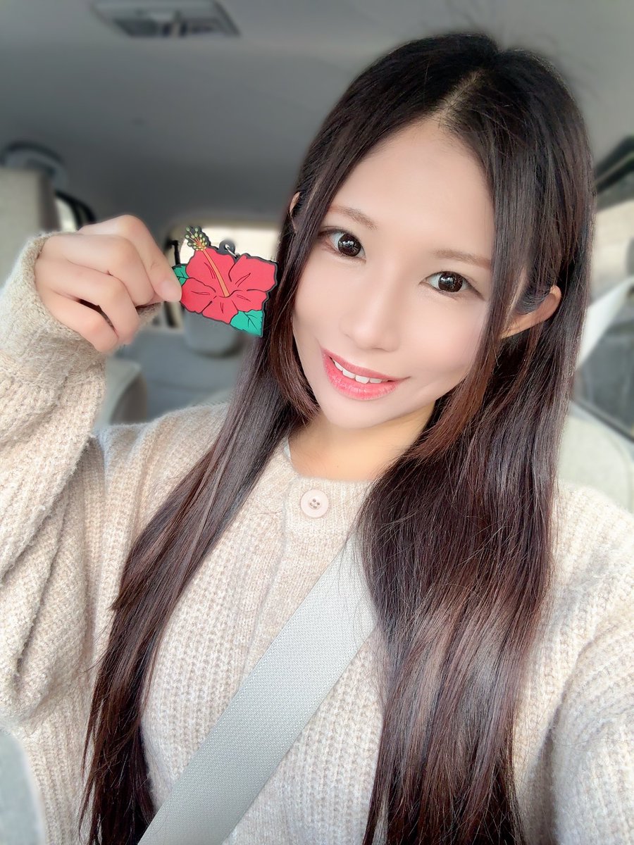 Post by みっちゃん on X: こんにちは