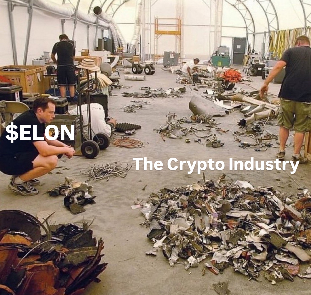 ElonCoinApp's tweet image. 