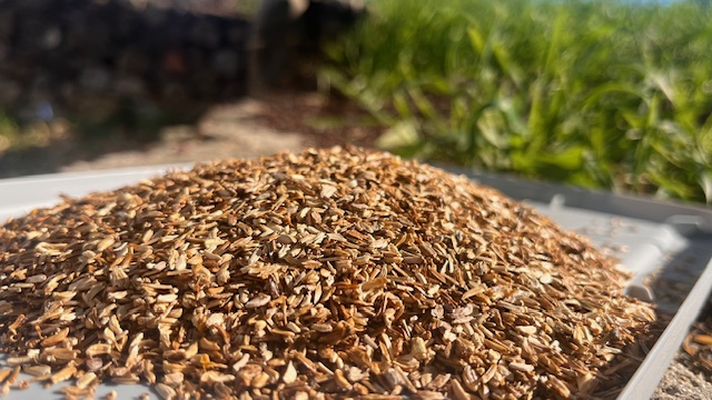 Santa Monica Mt Fund tweet media