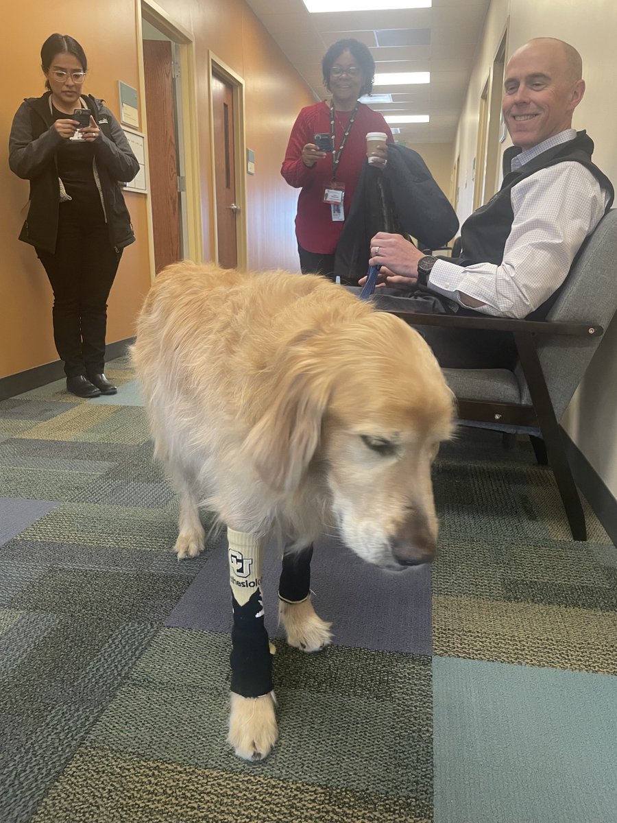 CU Anschutz Department of Anesthesiology tweet media