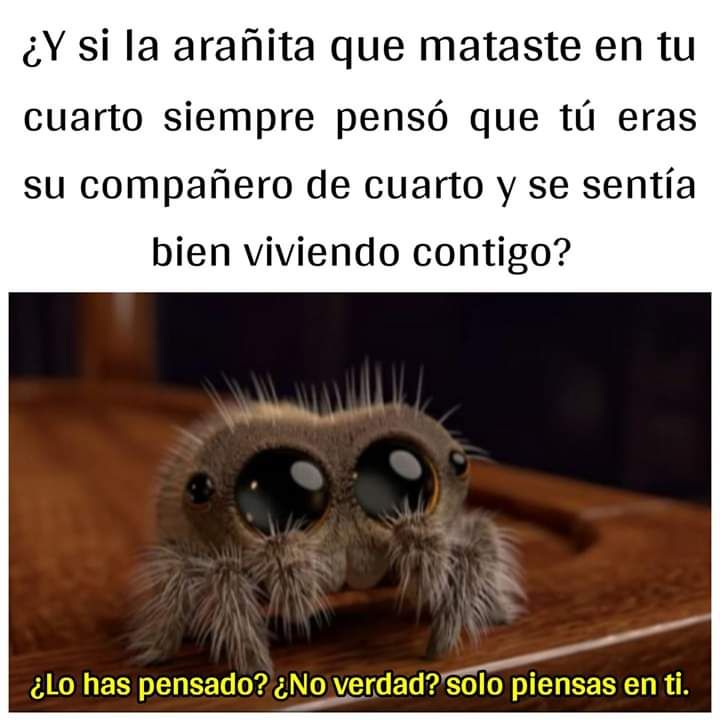 Rincón Curioso tweet media