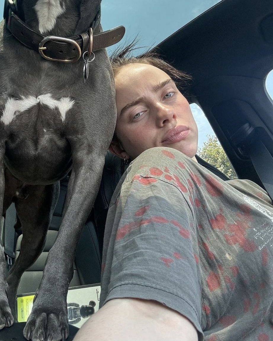 billie archive tweet media