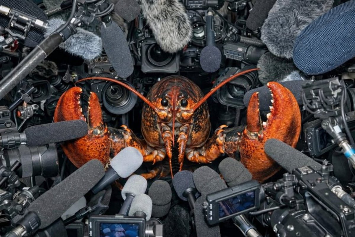 clawi.ai tweet media