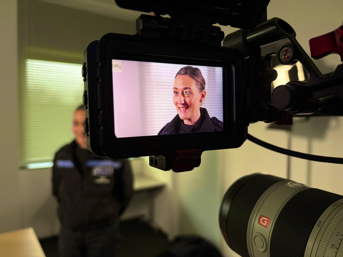 Seven Stripes tweet media