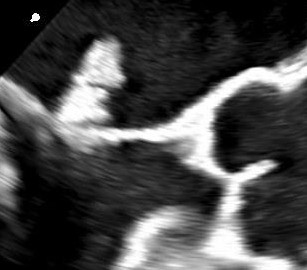 Edgar Argulian tweet media