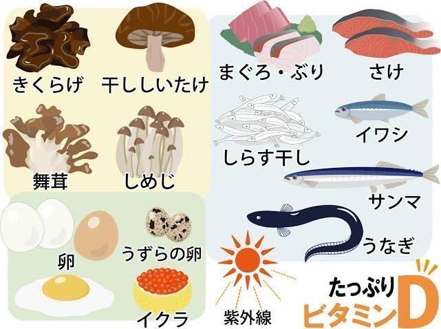 taku_gdbody's tweet photo. ビタミンD食品の一覧です。冬場は必須食品なので参考にしてみてね。 https://t.co/W9cRHyv4hh