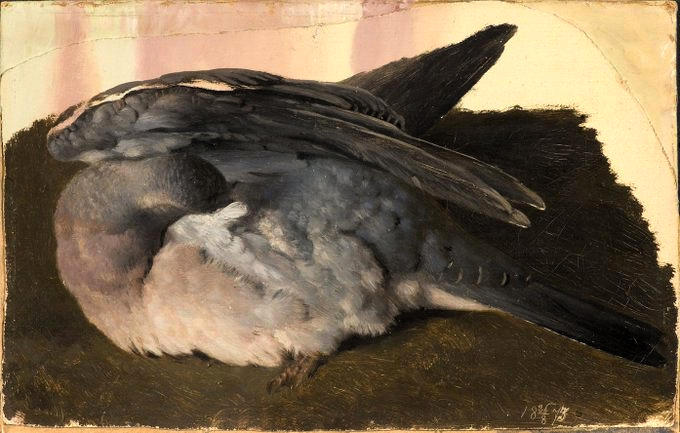 a_london_pigeon's tweet image. 'Study of sleeping pigeon', 1873. 
Ferdinand von Wright (1822-1906) was a Finnish painter (with Scottish ancestry) who made many detailed depictions of birds.