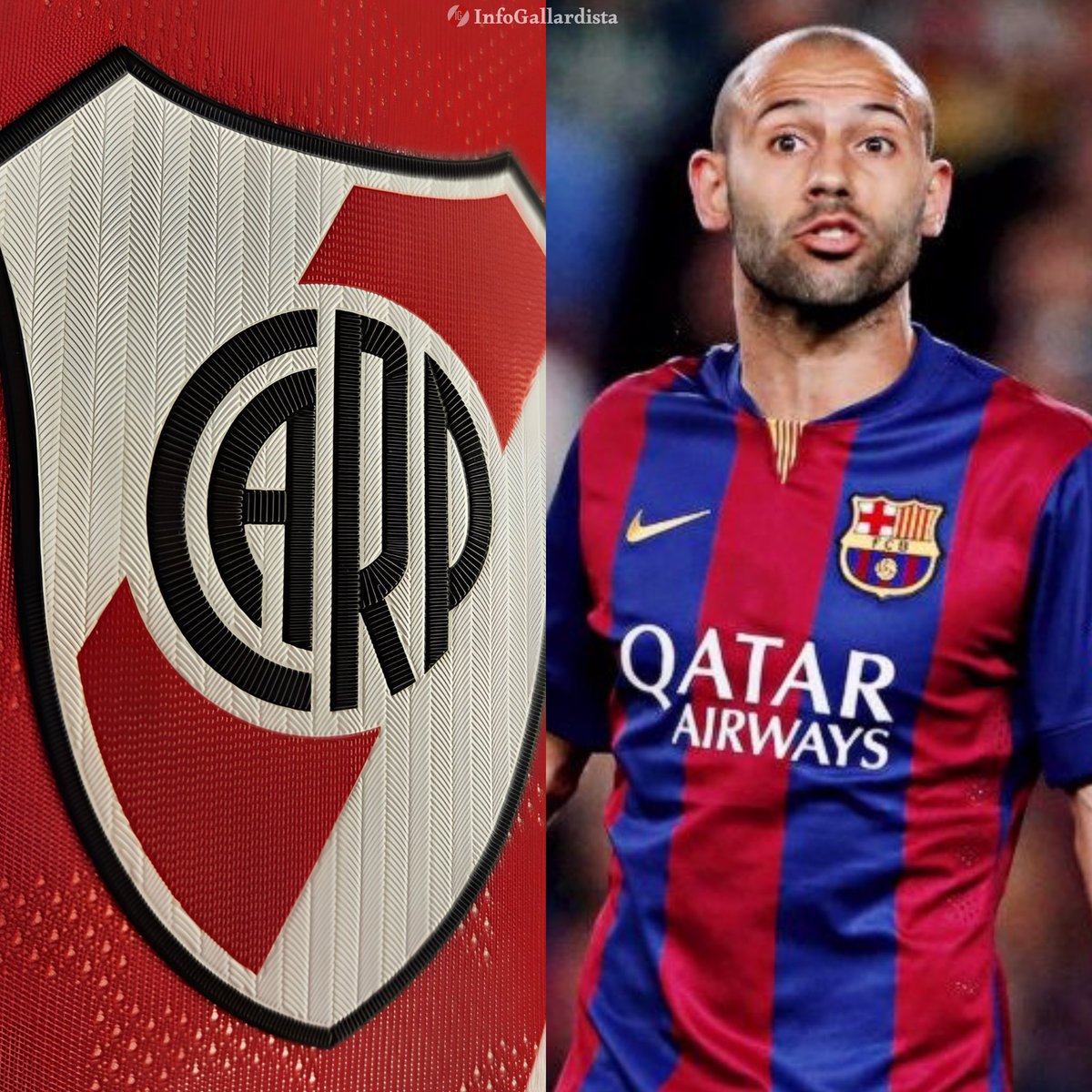 Info Gallardista tweet media