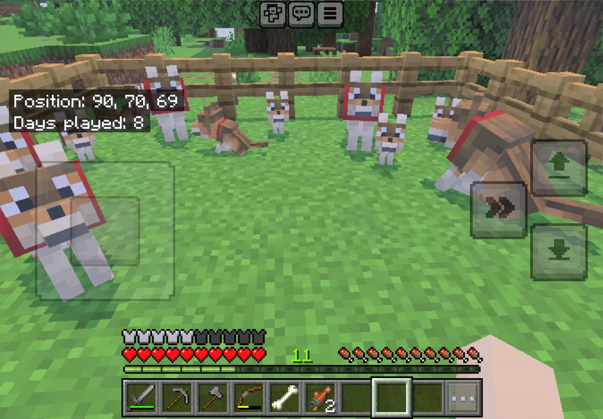 _dogbites's tweet image. So update i have more dogs now