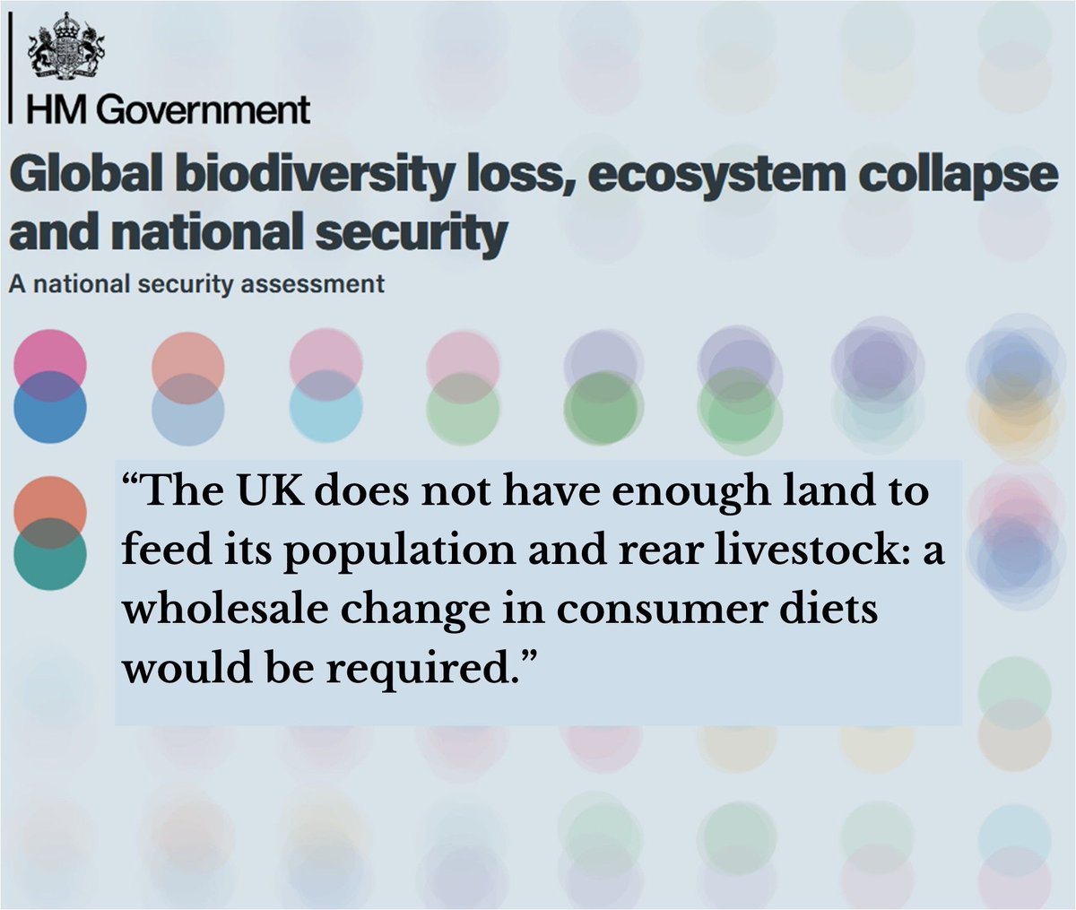 Beyond Investing tweet media