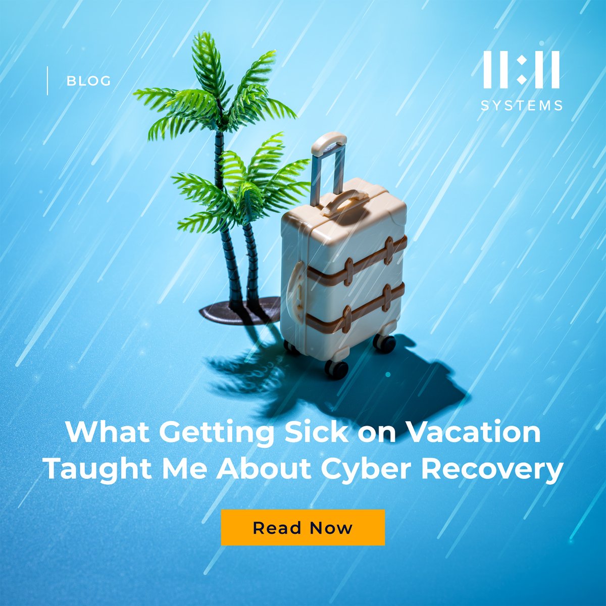 11:11 Systems tweet media