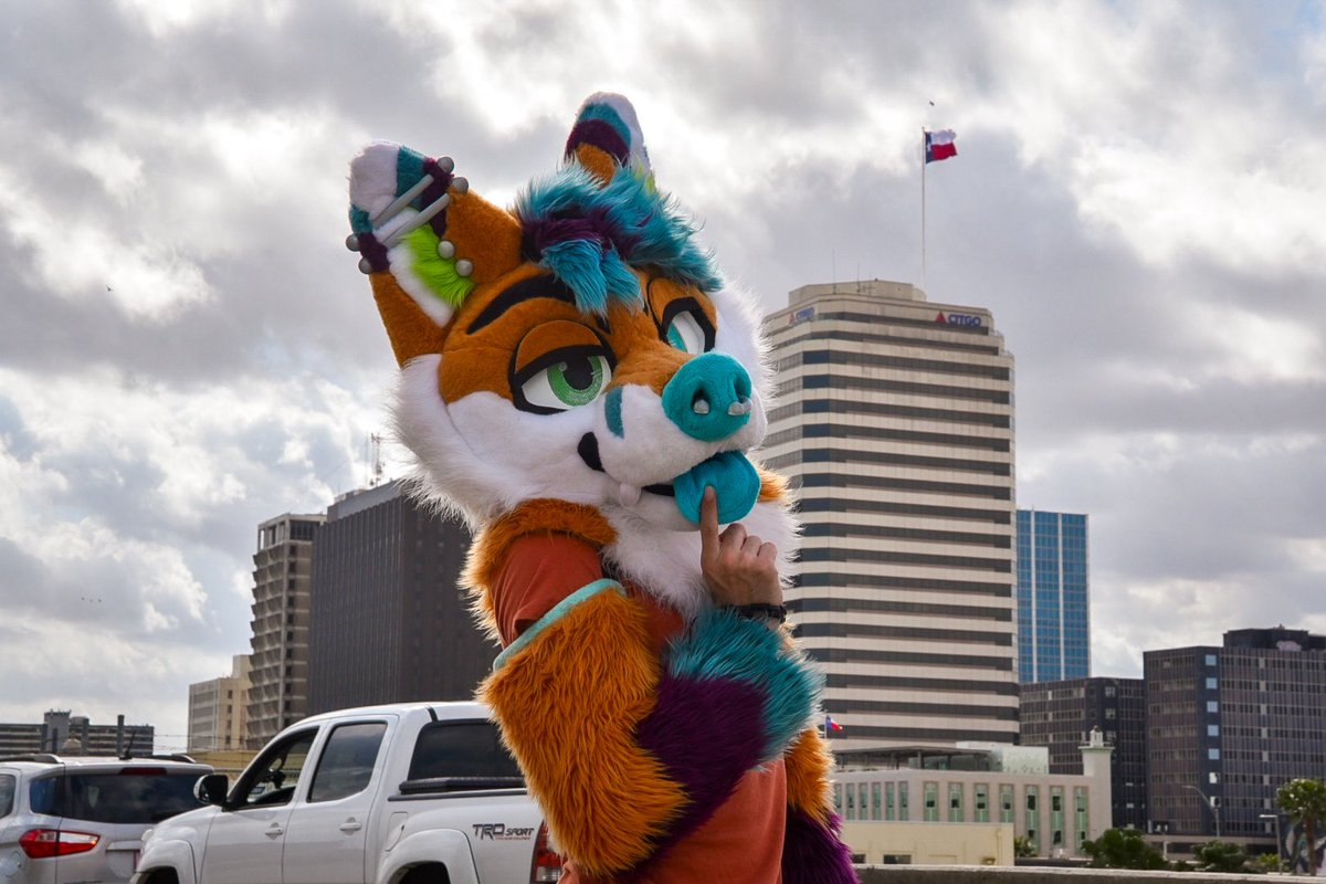 ⚕️Frisky 🔜 TFF 26’⚕️ tweet media