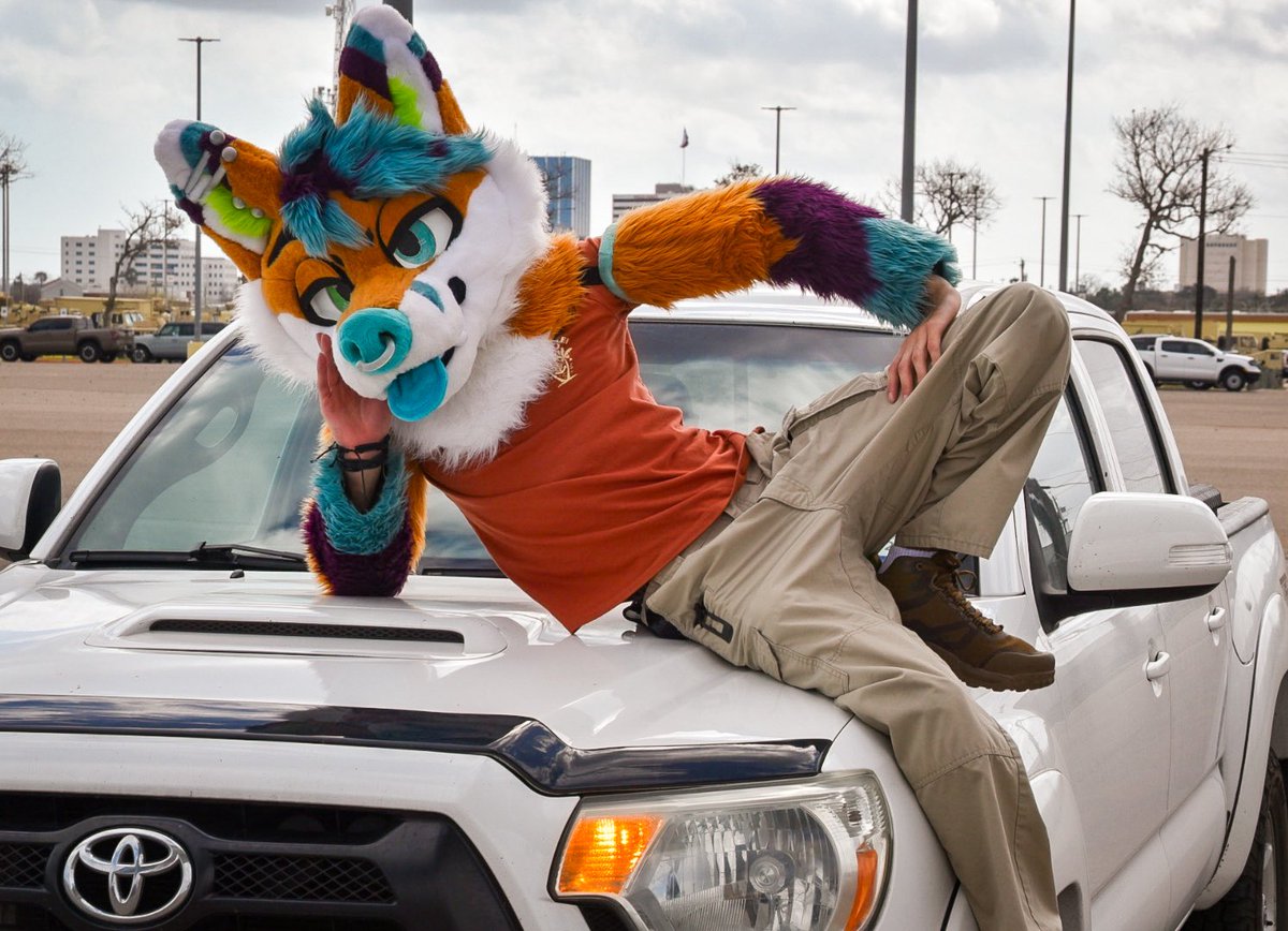 ⚕️Frisky 🔜 TFF 26’⚕️ tweet media