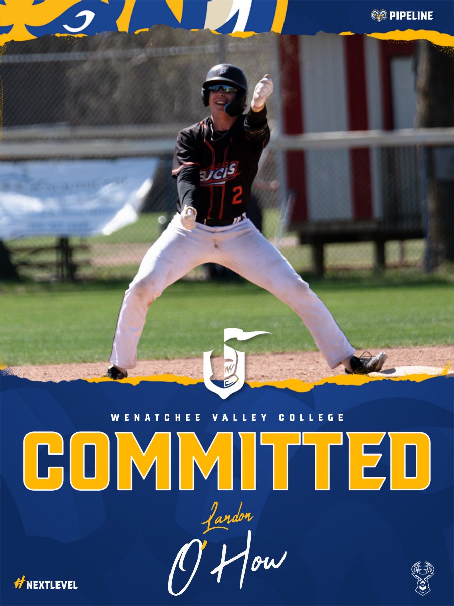 Baseball Alberta Pipeline tweet media