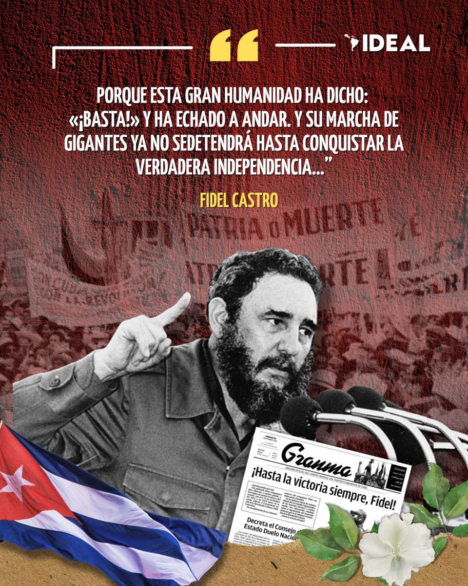 InstitutoIDEAL tweet media