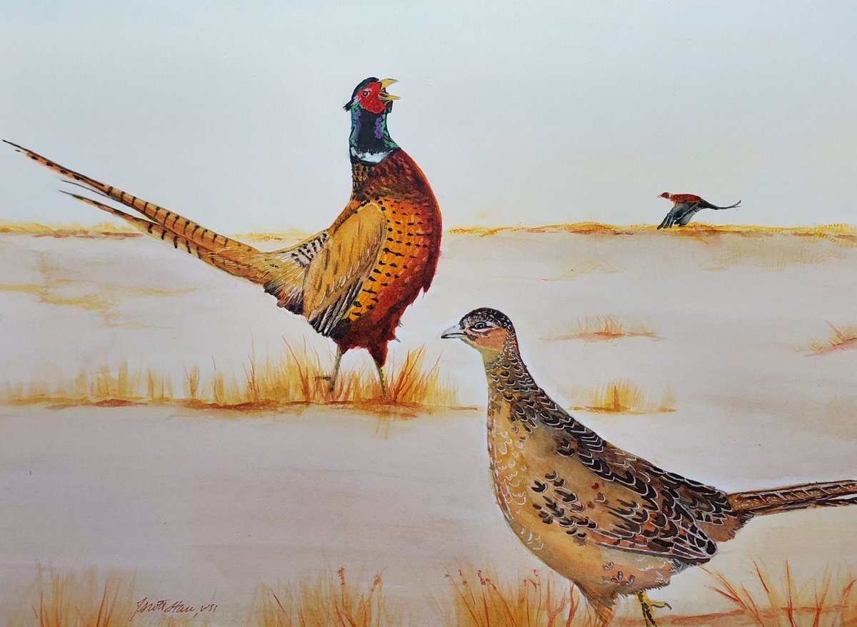 JScottStan tweet media