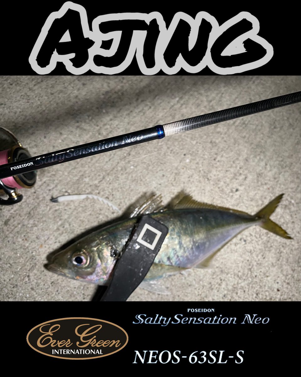 『魚群リーチ一発ツモ‼︎』
常夜灯下アジングゲーム。
アジを狙ってたら、足元を左から右へと魚群が🐟🐟🐟

フルキャストしていたリグを手前に寄せて狙うと💥

しかもデカい‼︎確変には入らなかったけど、こんなシチュエーション初めて🫢

————————
TARGET/ #ライトゲーム : #アジング
—————————